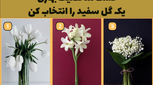 گل سفید مورد علاقه تو انتخاب کن، تا بگم شخصیتت چجوریه؟