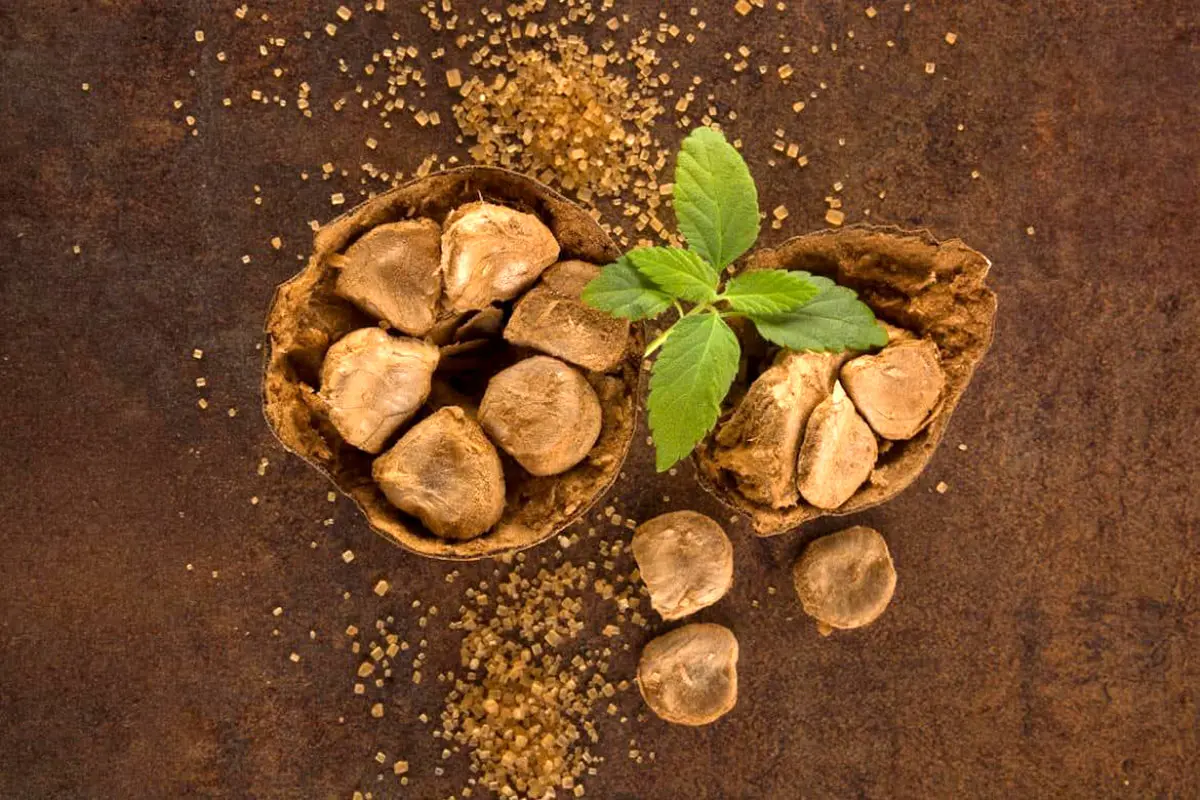 مانک چیست؟/ یک جایگزین مناسب برای قند