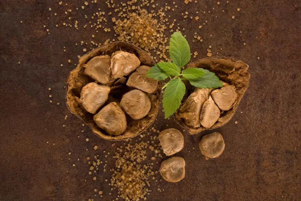مانک چیست؟/ یک جایگزین مناسب برای قند