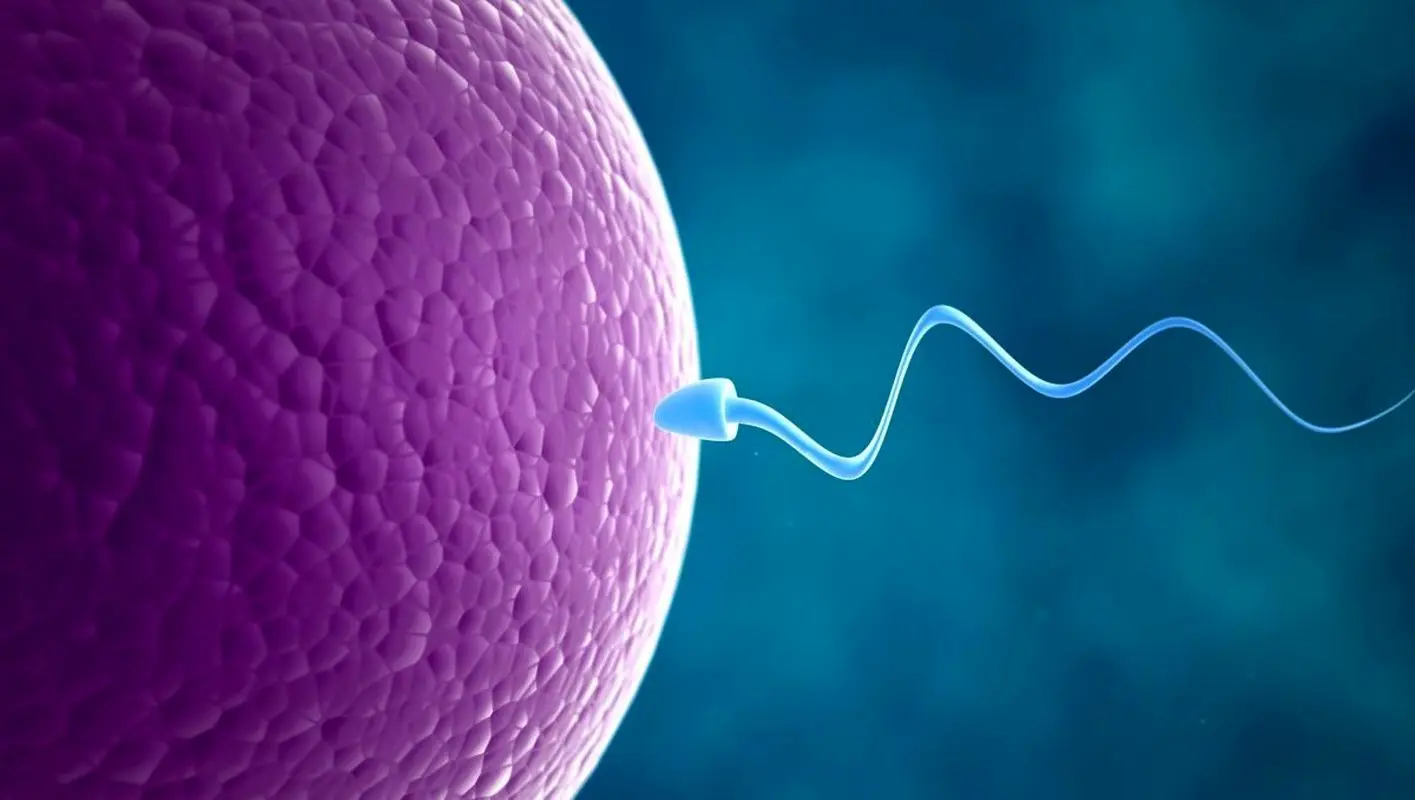 آزواسپرمی چیست؟