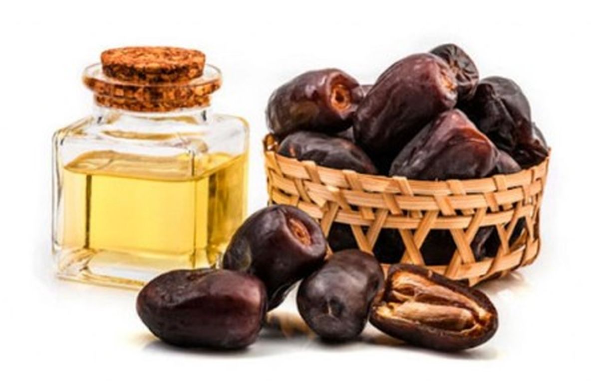 روغن هسته خرما و خواص بی‌نظیرش