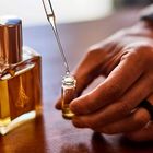 هدیه شاهان؛ عطر‌سازان عمانی رایحه باستانی کندر را زنده می‌کنند