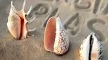 پریود بعد از لابیاپلاستی، هر آنچه باید بدانید!