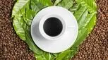 مقایسه چای و قهوه، محبوب شما کدام است؟