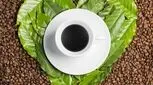 مقایسه چای و قهوه، محبوب شما کدام است؟