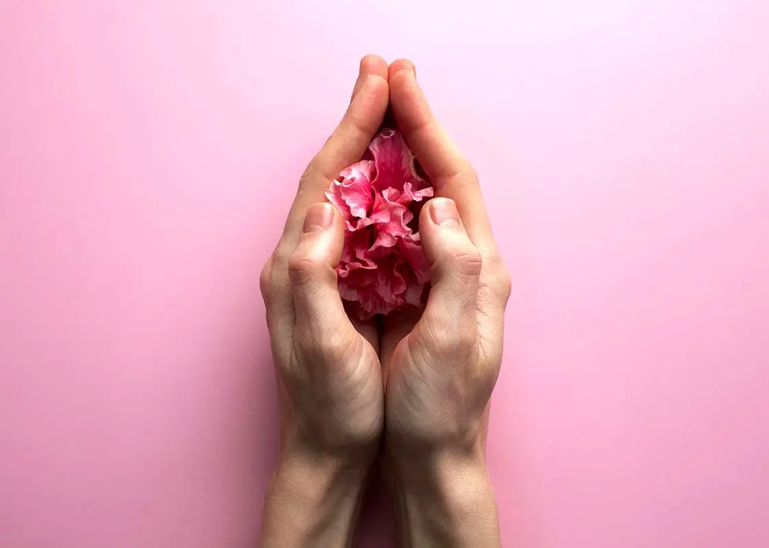 لابیا پلاستی و روش های آن