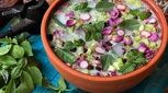 تابستان در راه است/ چند ترفند برای خوشمزگی بیشتر آبدوغ خیار