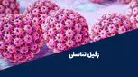 بهترین دکتر زگیل تناسلی hpv در تهران