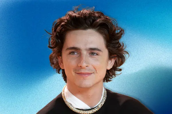 استایل زرد کره ای تیموتی شالامی دل همه را برد (عکس)