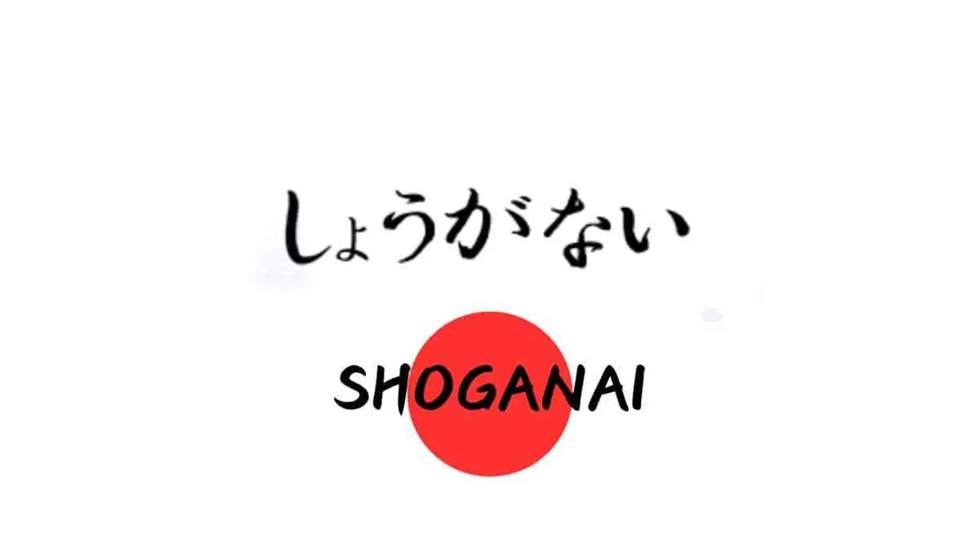 شوگانایی، راز تاب آوری در برابر ناملایماتی های زندگی!