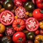 خوردن گوجه فرنگی برای این افراد ضرر دارد؛ ۵ عارضه مهم 