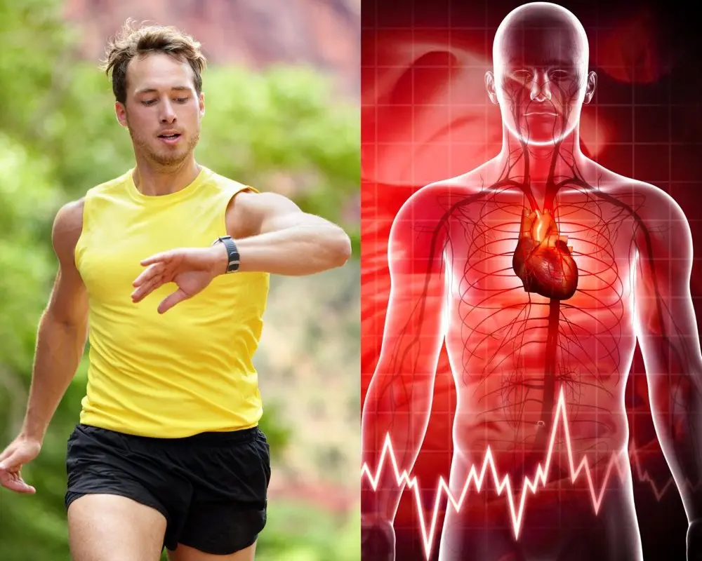 ورزش اندازه و شکل قلب را تغییر می‌دهد؛ آیا این موضوع برای ورزشکاران مشکلی ایجاد می‌کند؟