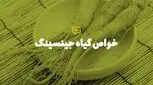 خواص درمانی جینسنگ برای درمان بیماری ام اس

