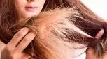 با رنگ کردن مکرر، تیشه به ریشه موهایتان نزنید