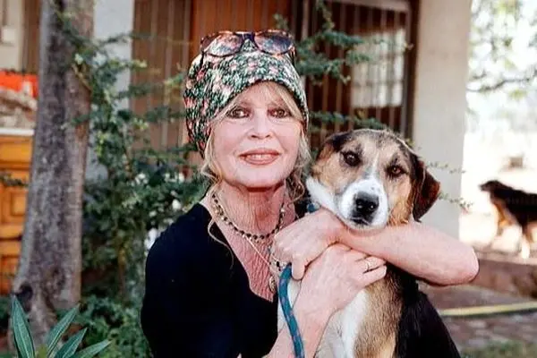 بازیگر زنی که ترجیح می داد به جای پسرش یک سگ به دنیا بیاورد! (عکس)