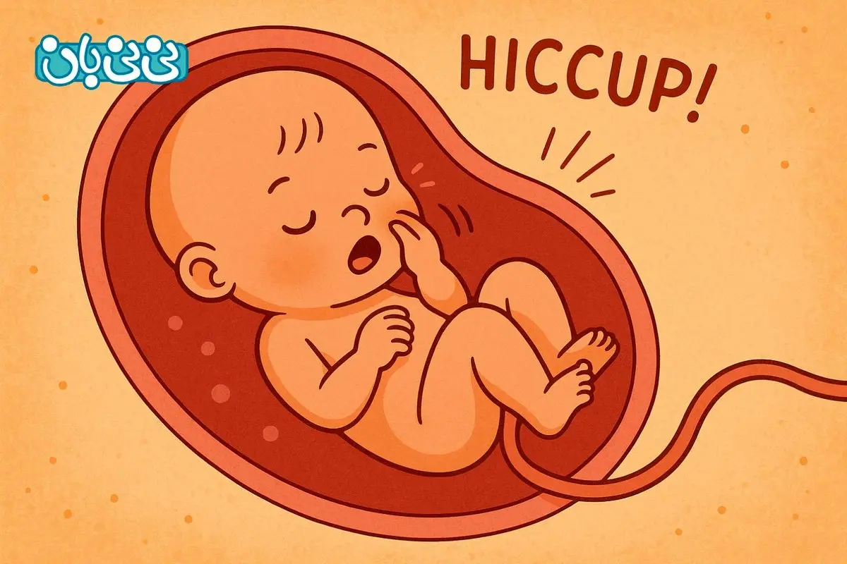 سکسکه جنین خطرناک است؟ 6 علت و راه‌های متوقف کردن آن