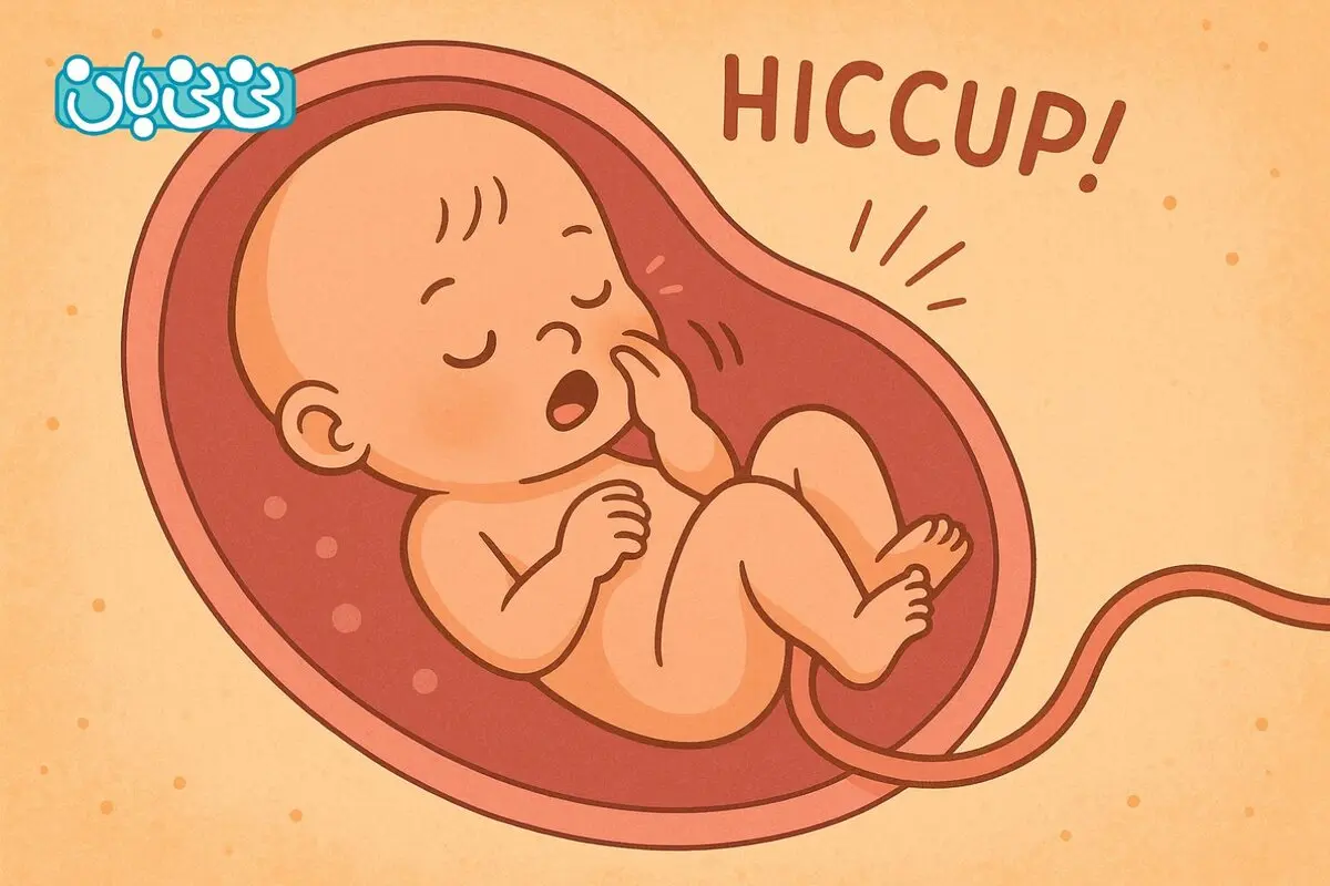 سکسکه جنین خطرناک است؟ 6 علت و راه‌های متوقف کردن آن