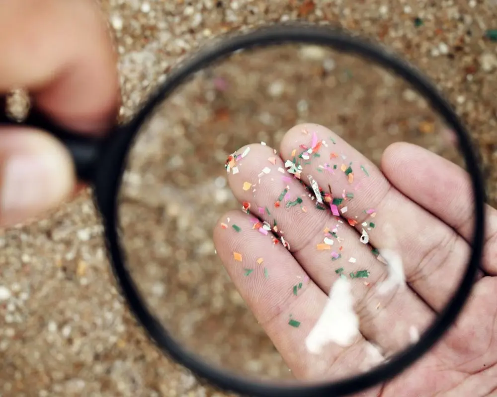 ریزپلاستیک‌ها در شریان اصلی گردن؛ هشدار دانشمندان درباره خطر سکته مغزی