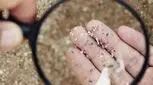 ریزپلاستیک‌ها در شریان اصلی گردن؛ هشدار دانشمندان درباره خطر سکته مغزی