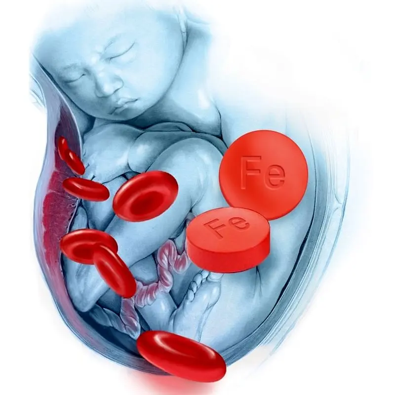 چه میوه هایی برای کم خونی در بارداری مفید است؟