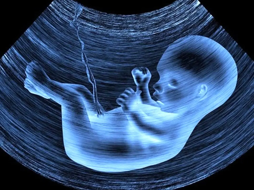 زمان انجام سونوگرافی آنومالی، هفته چندم بارداری؟