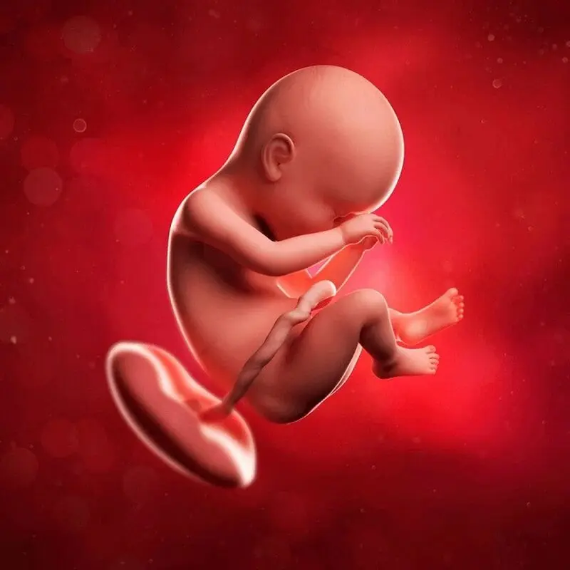 موقعیت جفت خلفی یعنی چه؟