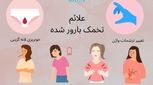 علائم تخمک بارور شده | نشانه‌ها و زمان دقیق تشخیص