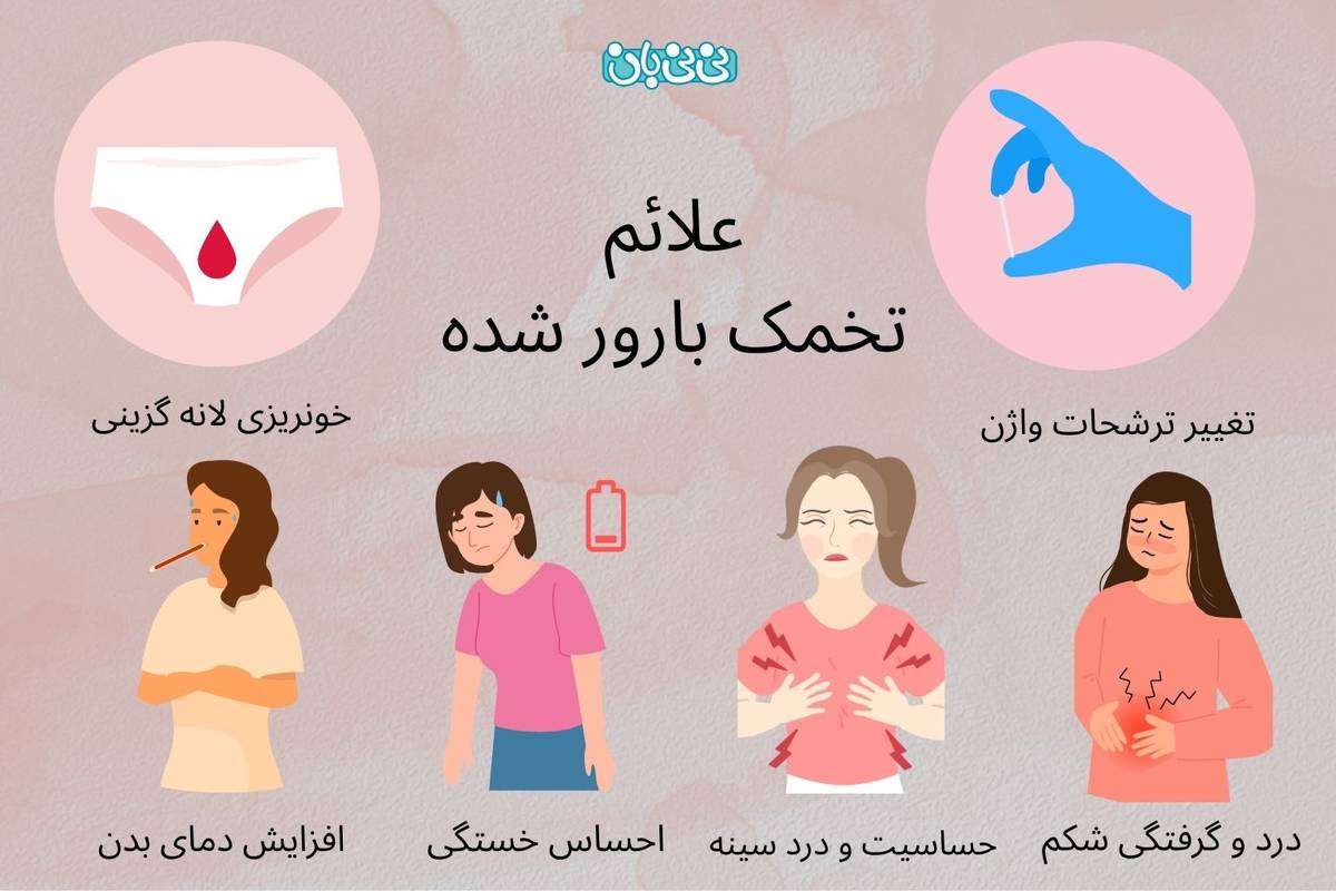 علائم تخمک بارور شده | نشانه‌ها و زمان دقیق تشخیص
