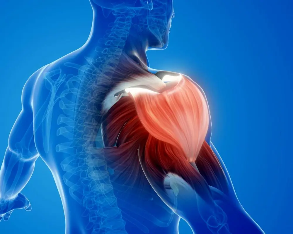 داروی لاغری جدید به حفظ و رشد ماهیچهها کمک میکند