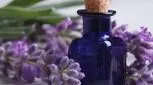 روغن بنفشه؛ طلای بنفش طبیعت برای سلامتی شما

