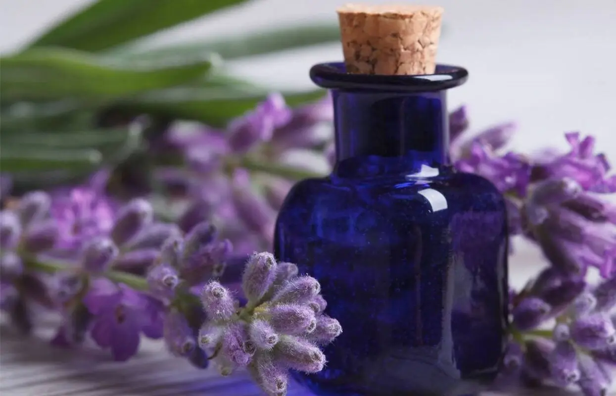 روغن بنفشه؛ طلای بنفش طبیعت برای سلامتی شما


