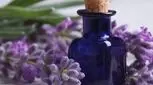 روغن بنفشه؛ طلای بنفش طبیعت برای سلامتی شما

