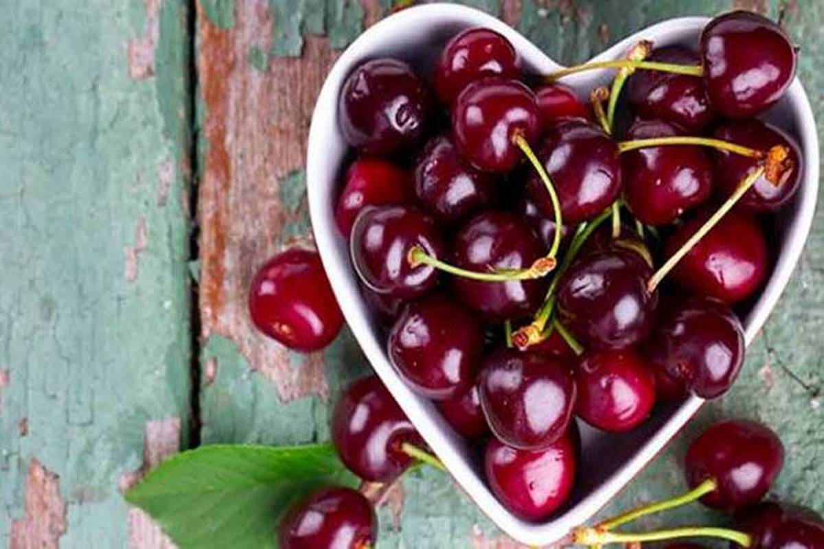 فایده شگفت‌انگیز گیلاس؛ از بهبود کیفیت خواب تا سلامت قلب