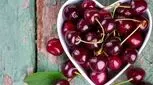فایده شگفت‌انگیز گیلاس؛ از بهبود کیفیت خواب تا سلامت قلب