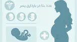 عدد بتا در بارداری پسر چند است؟ | جدول عدد بتا در تعیین جنسیت