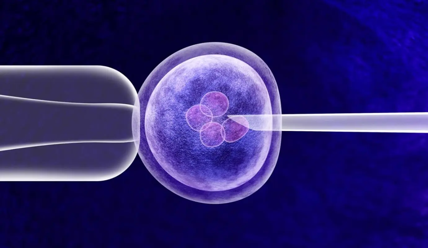 9 افسانه و واقعیت در مورد IVF