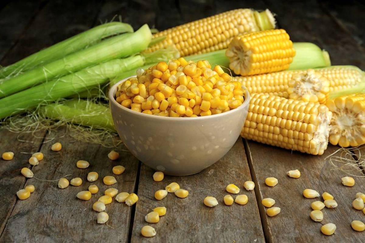 ذرت شیرین، انتخابی سالم برای رشد کودکان