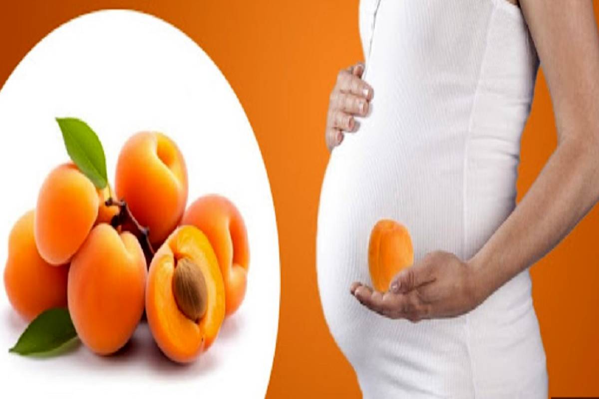 فواید زردآلو در بارداری، اگر میدونستم بیشتر می خوردم!