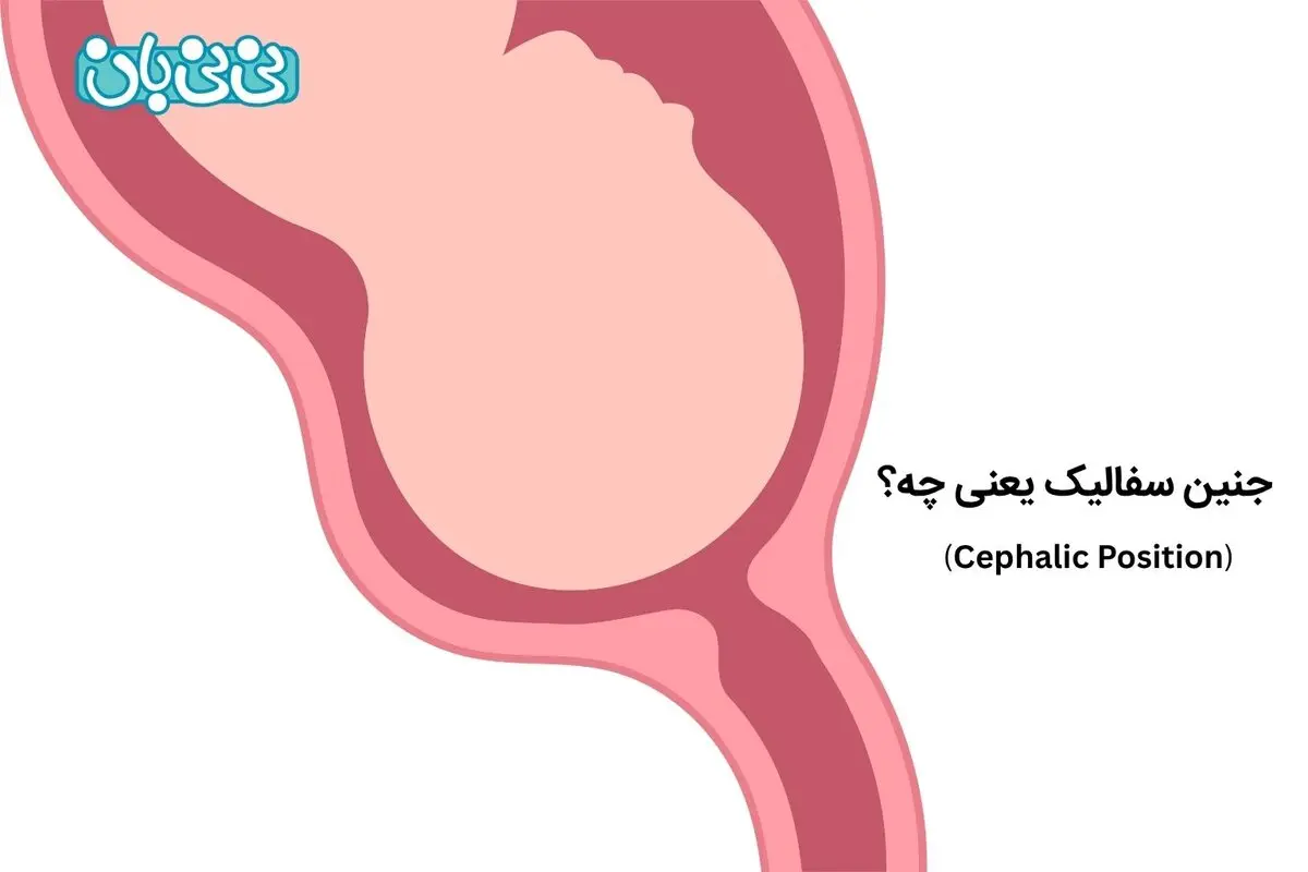  سفالیک بودن جنین یعنی چه؟ 6 روش‌ چرخاندن جنین به سمت پایین