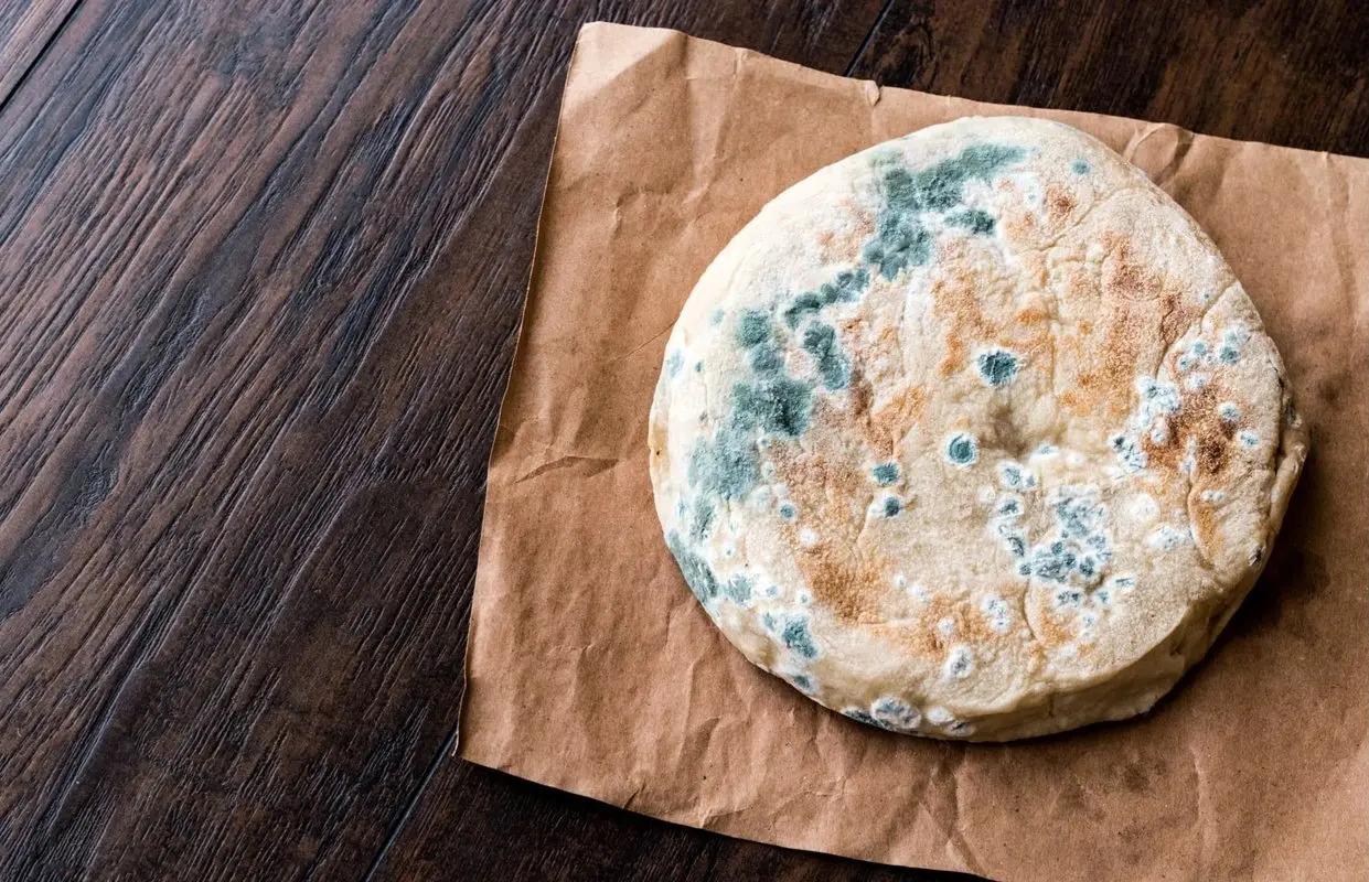 غذای کپک‌زده را دور بریزید/ کپک با حرارت و شست‌وشو از بین نمی‌رود

